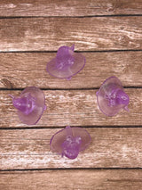 View image 3