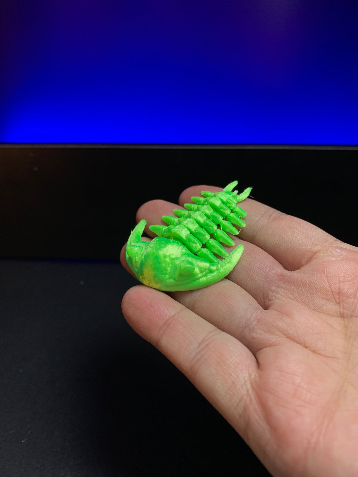 Trilobite Fidget Toy Keychain