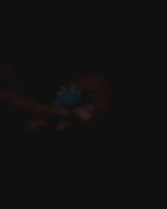Axolotl Baby Pop