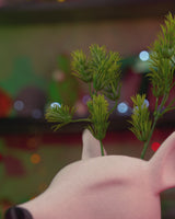 Play video 7